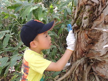 Nature Experiential Learning Programs
